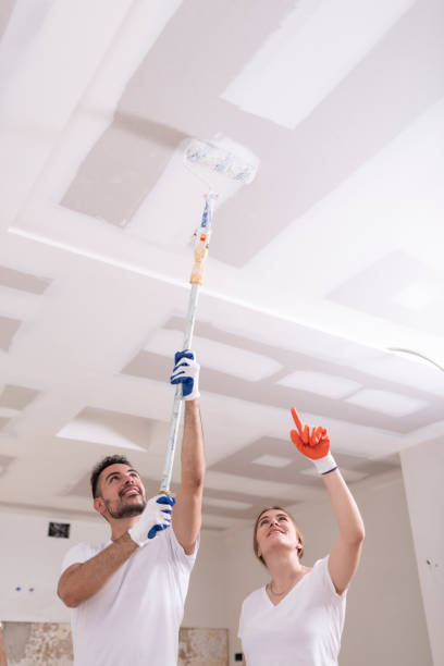 Reliable St Paul, MO Mold Removal Solutions